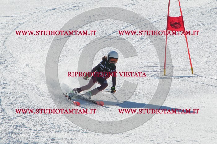 MAT_2012.JPG