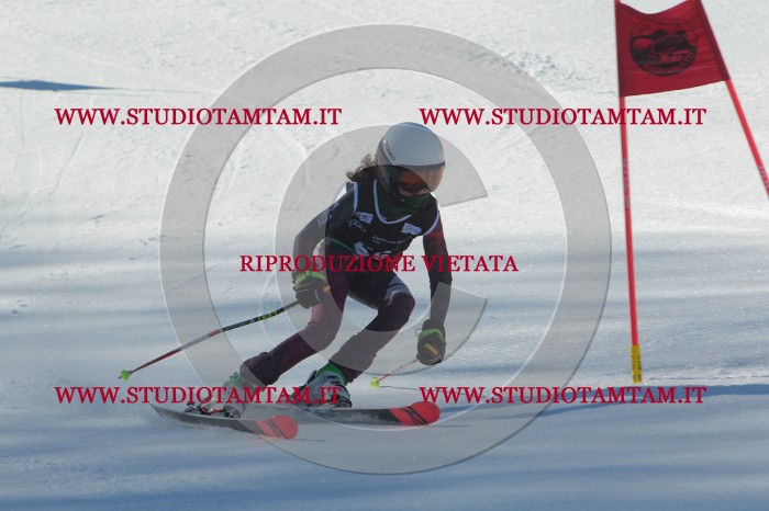 MAT_2015.JPG