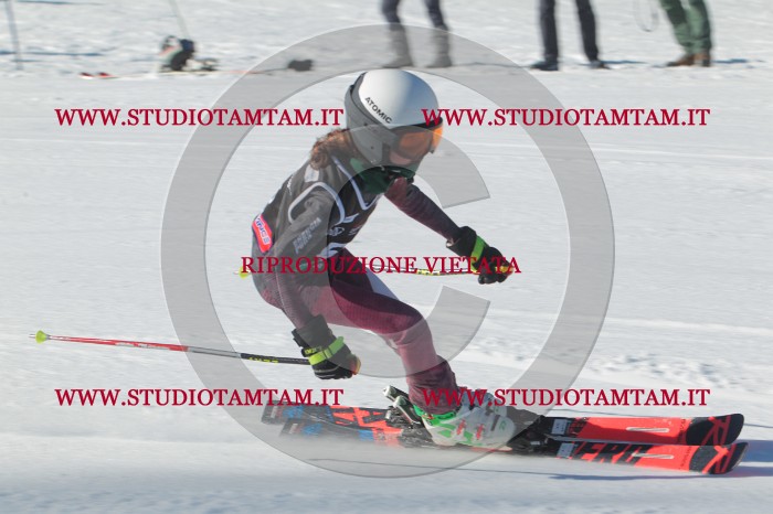 MAT_2018.JPG