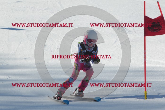 MAT_2026.JPG