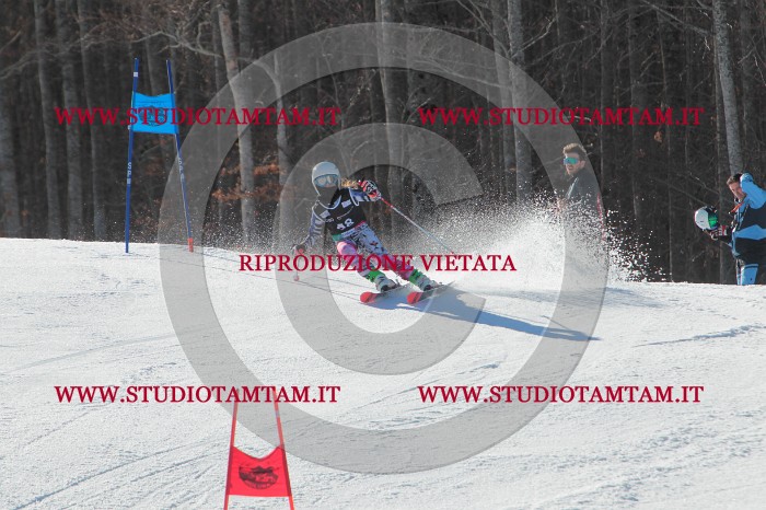 MAT_2033.JPG