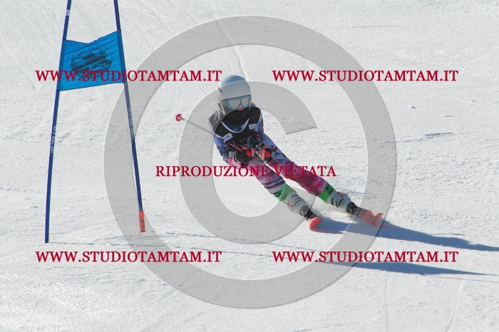 MAT_2038.JPG