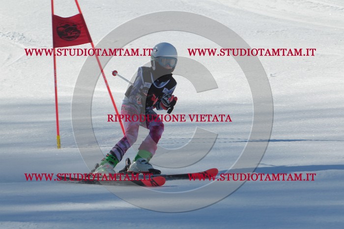MAT_2040.JPG