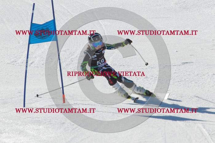 MAT_2048.JPG