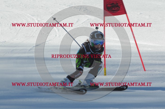 MAT_2049.JPG