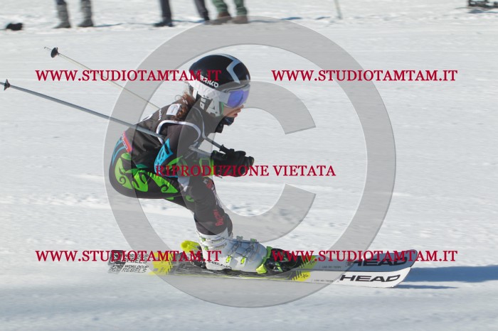 MAT_2051.JPG