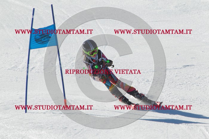 MAT_2057.JPG
