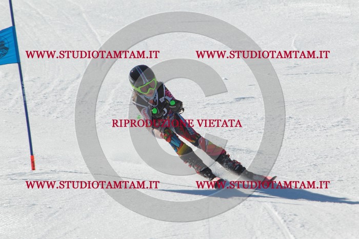 MAT_2058.JPG