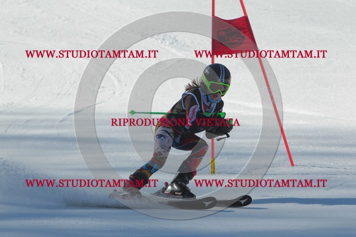 MAT_2059.JPG