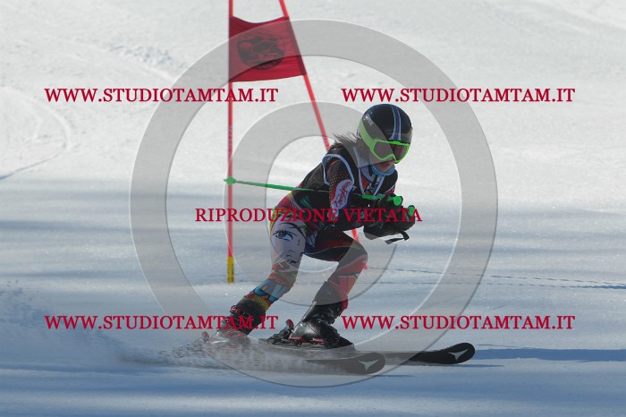 MAT_2060.JPG