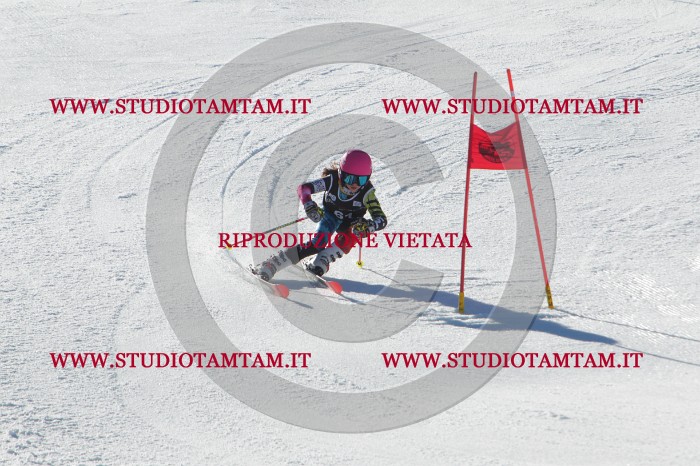 MAT_2065.JPG