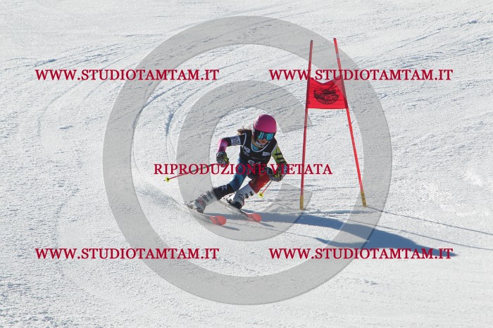 MAT_2066.JPG
