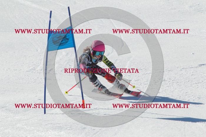 MAT_2068.JPG