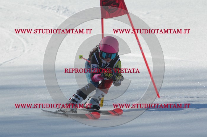 MAT_2070.JPG