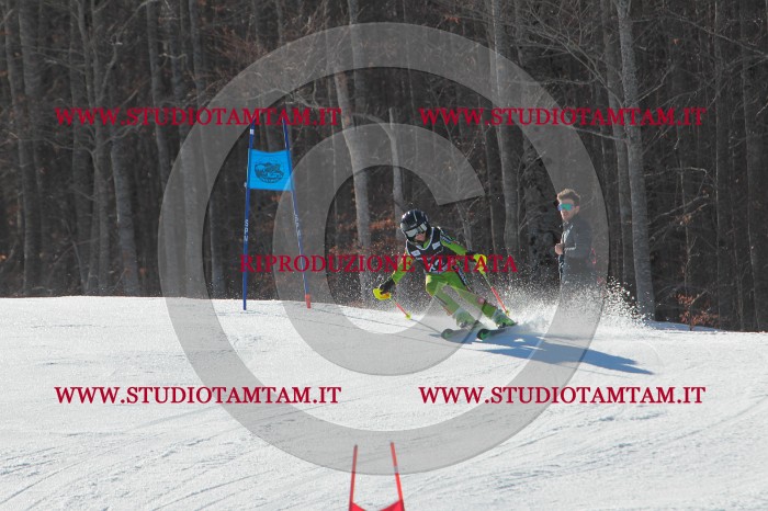 MAT_2074.JPG