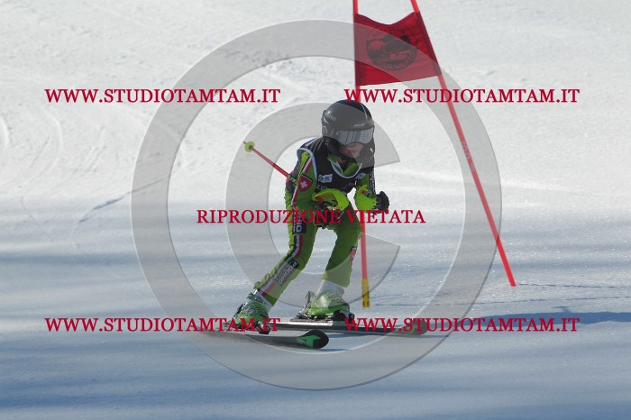 MAT_2081.JPG
