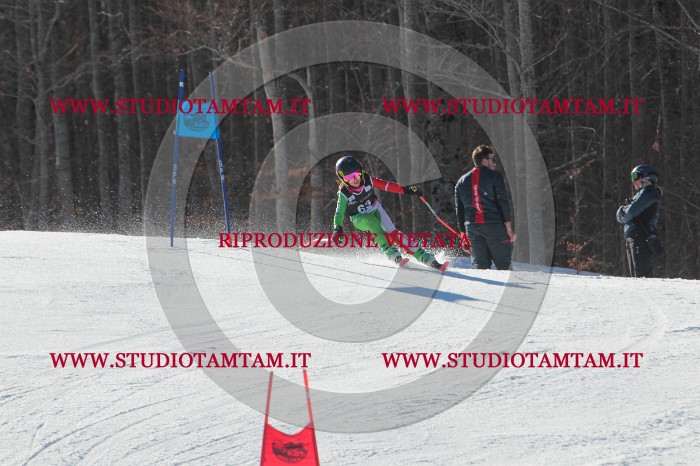MAT_2085.JPG