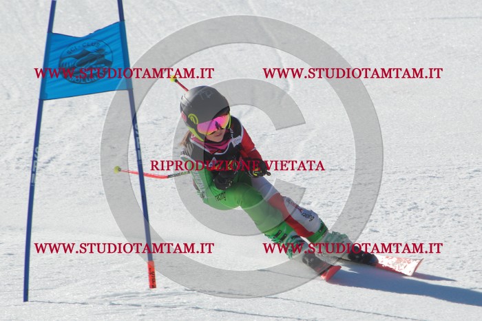 MAT_2090.jpg