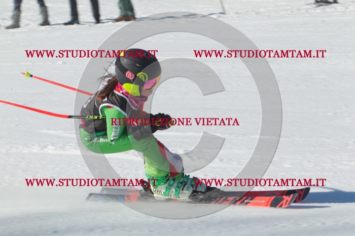 MAT_2093.JPG