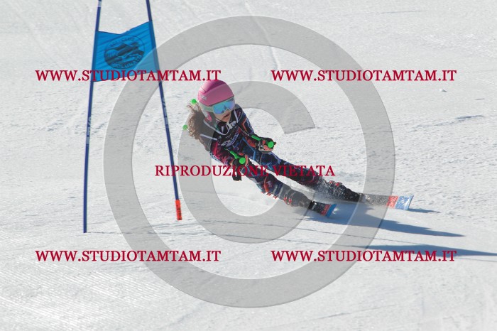 MAT_2101.JPG