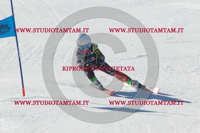 MAT_2113.JPG