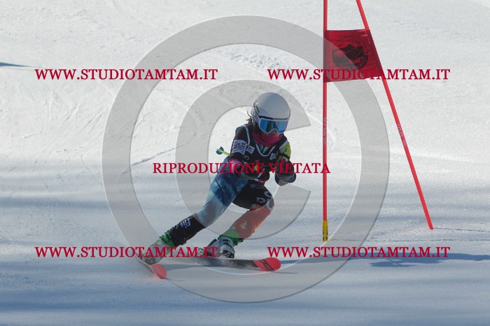 MAT_2115.JPG