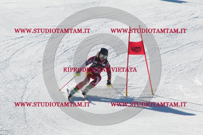MAT_2121.JPG