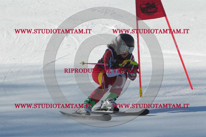 MAT_2126.JPG