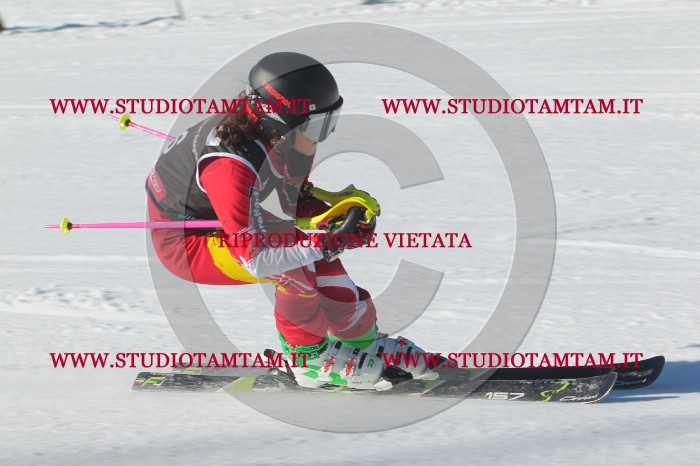 MAT_2127.JPG
