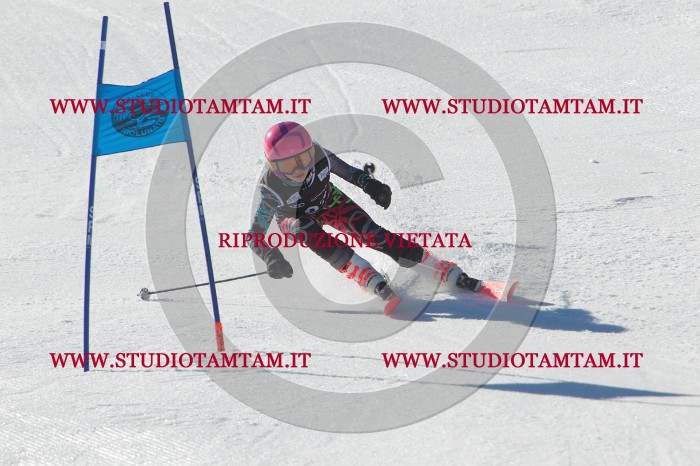 MAT_2135.JPG