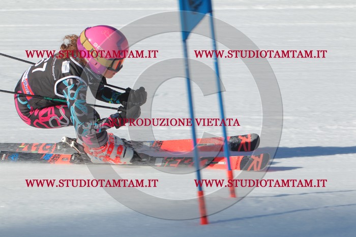 MAT_2140.JPG
