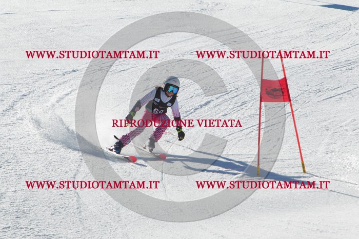 MAT_2153.JPG