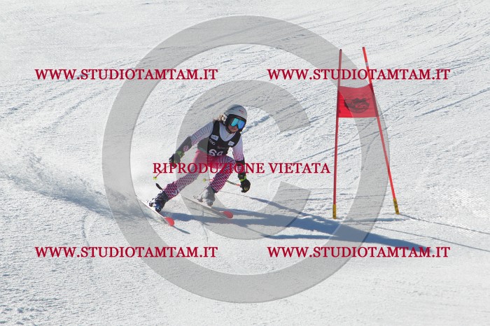 MAT_2154.JPG