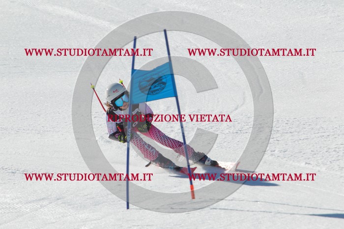 MAT_2155.JPG