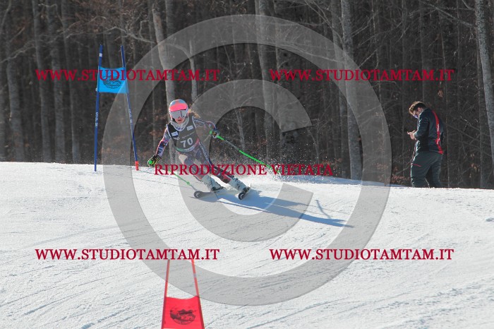 MAT_2163.JPG