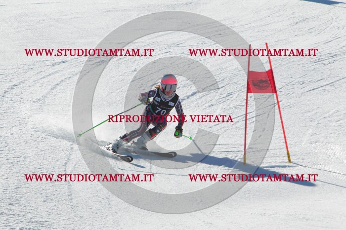 MAT_2164.JPG