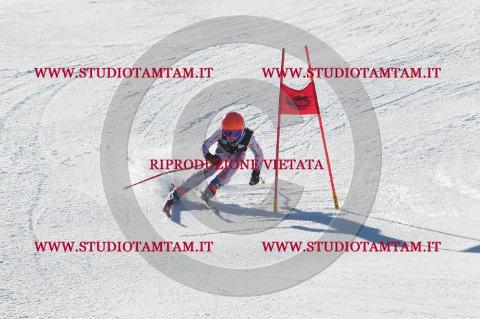 MAT_2186.JPG