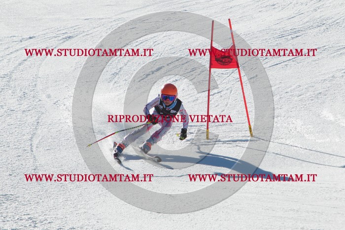 MAT_2187.JPG