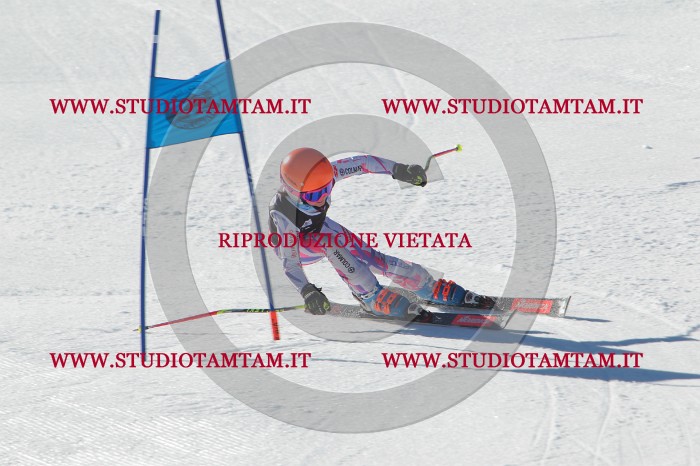 MAT_2188.JPG