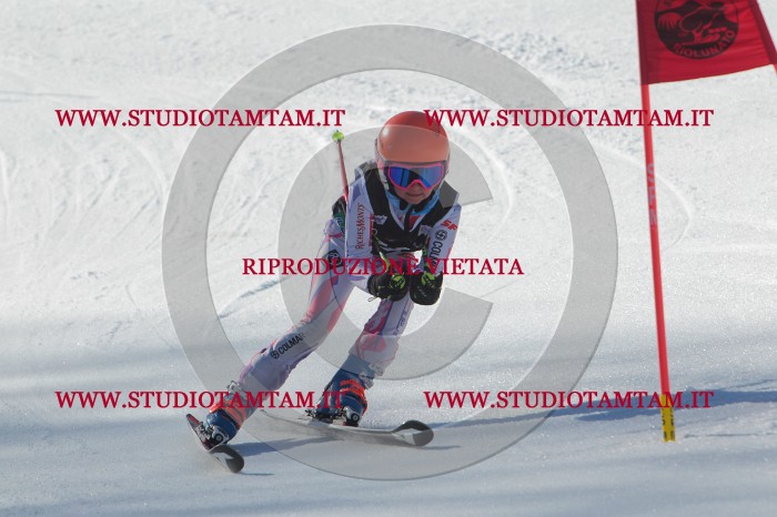MAT_2190.JPG