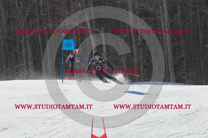MAT_2195.JPG
