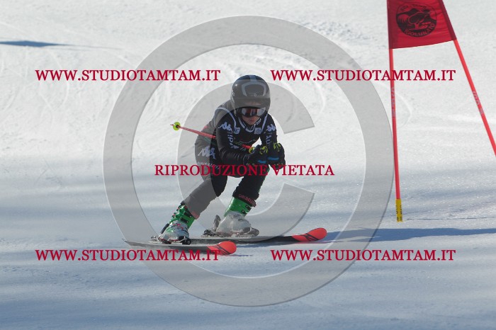 MAT_2203.JPG