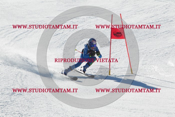 MAT_2208.JPG