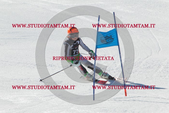 MAT_2221.JPG