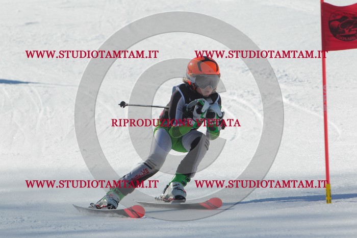 MAT_2223.JPG