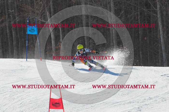 MAT_2238.JPG