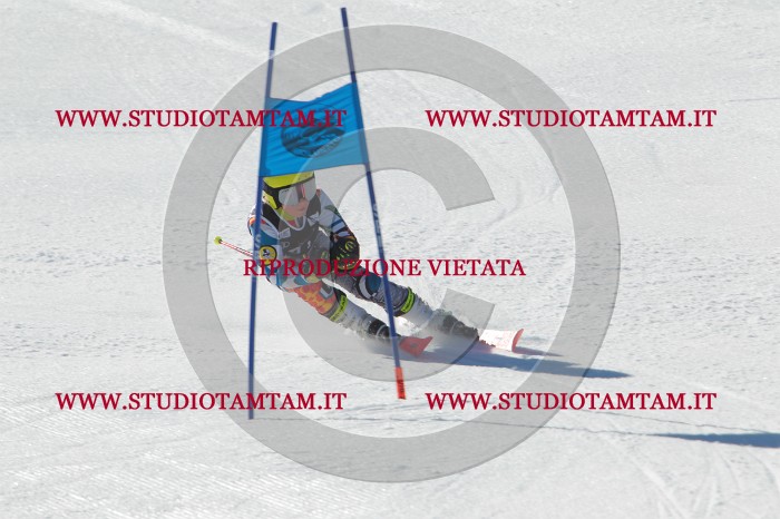 MAT_2241.JPG