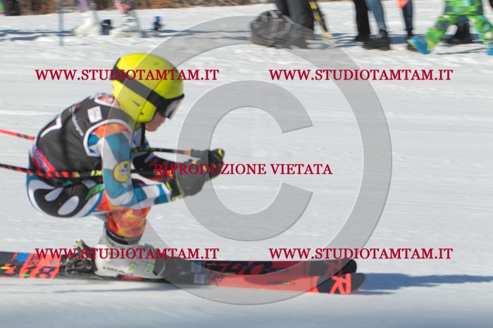 MAT_2247.JPG