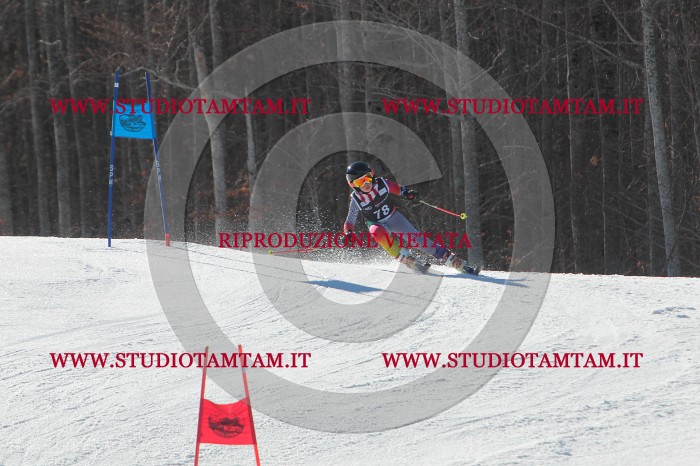 MAT_2249.JPG