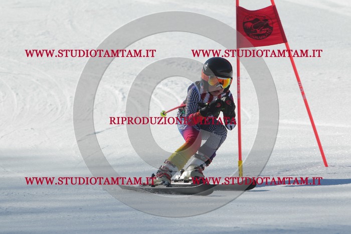 MAT_2255.JPG